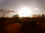 Sunset game drive